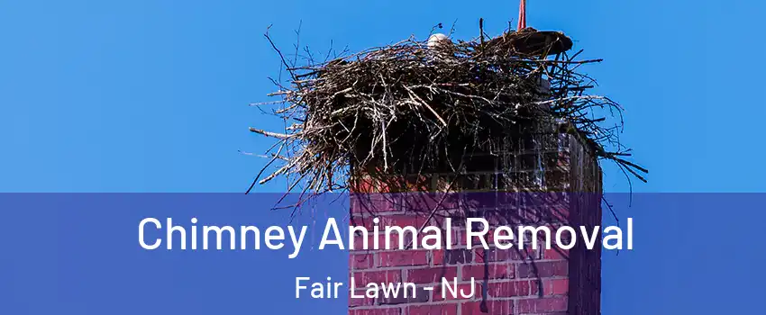  Chimney Animal Removal Fair Lawn - NJ