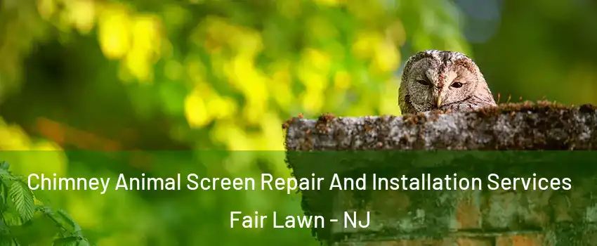  Chimney Animal Screen Repair And Installation Services Fair Lawn - NJ