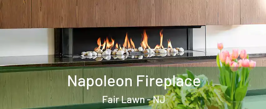  Napoleon Fireplace Fair Lawn - NJ